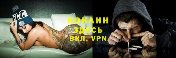 прущие грибы Балабаново