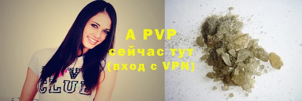 прущие грибы Балабаново
