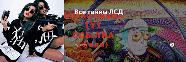 прущие грибы Балабаново